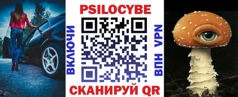 как найти   Павловск  Галлюциногенные грибы Magic Shrooms 