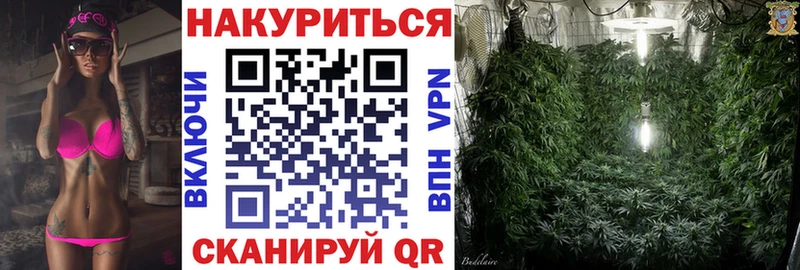 KRAKEN зеркало  дарнет шоп  Павловск  Шишки марихуана тримм 